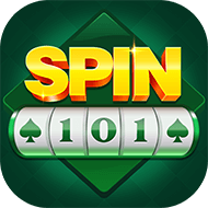 Spin 101​